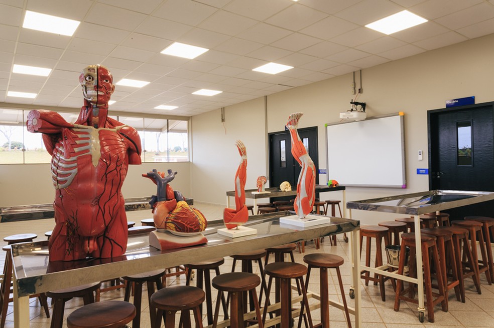 Laboratório do curso de medicina — Foto: Divulgação