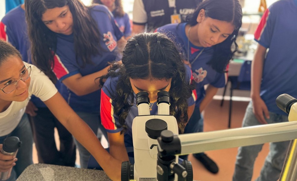 A inscrição deve ser feita pela direção, coordenação pedagógica ou professores da escola — Foto: Divulgação/ISD