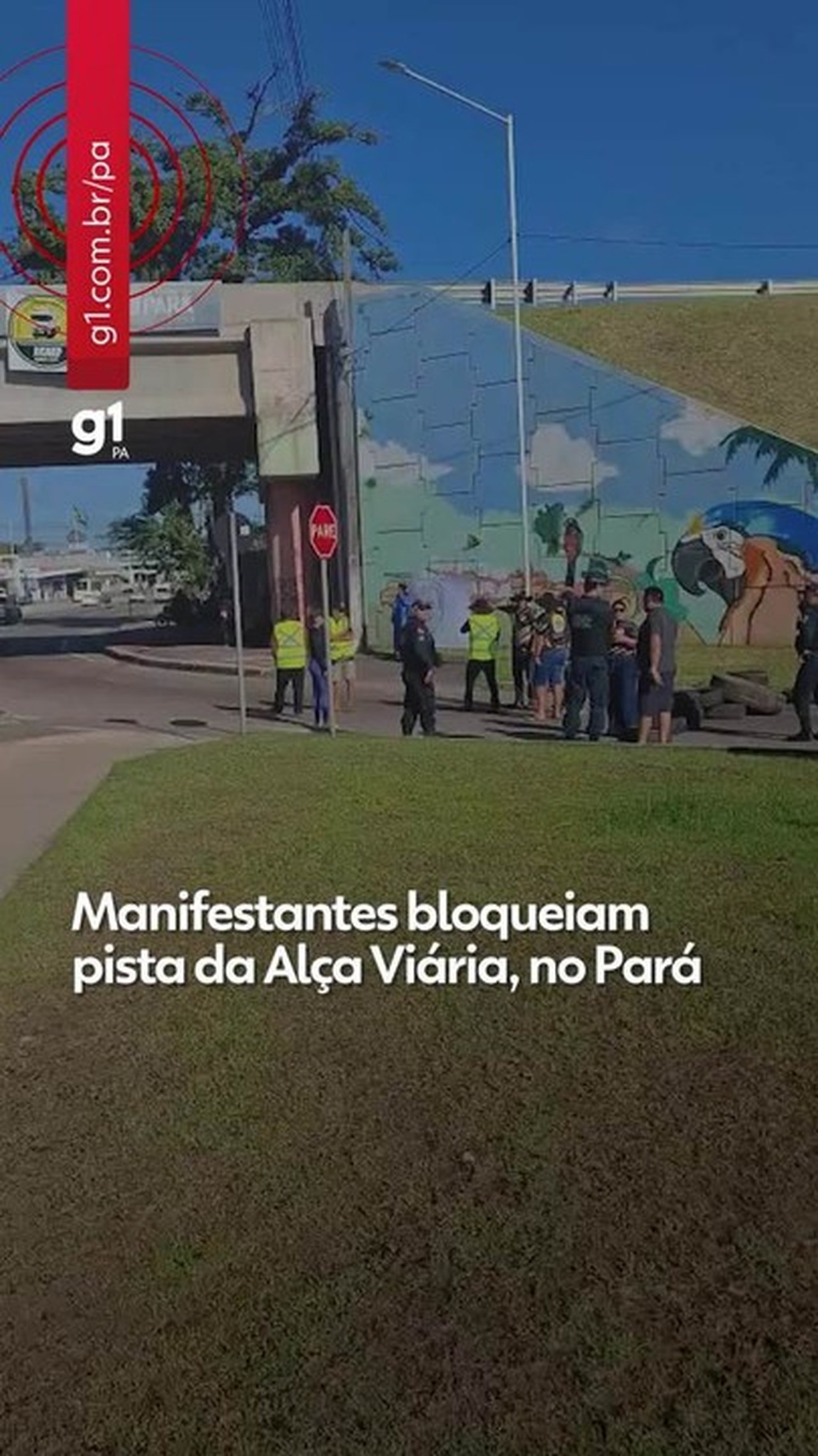 Caminhoneiros protestam na Alça Viária, no Pará