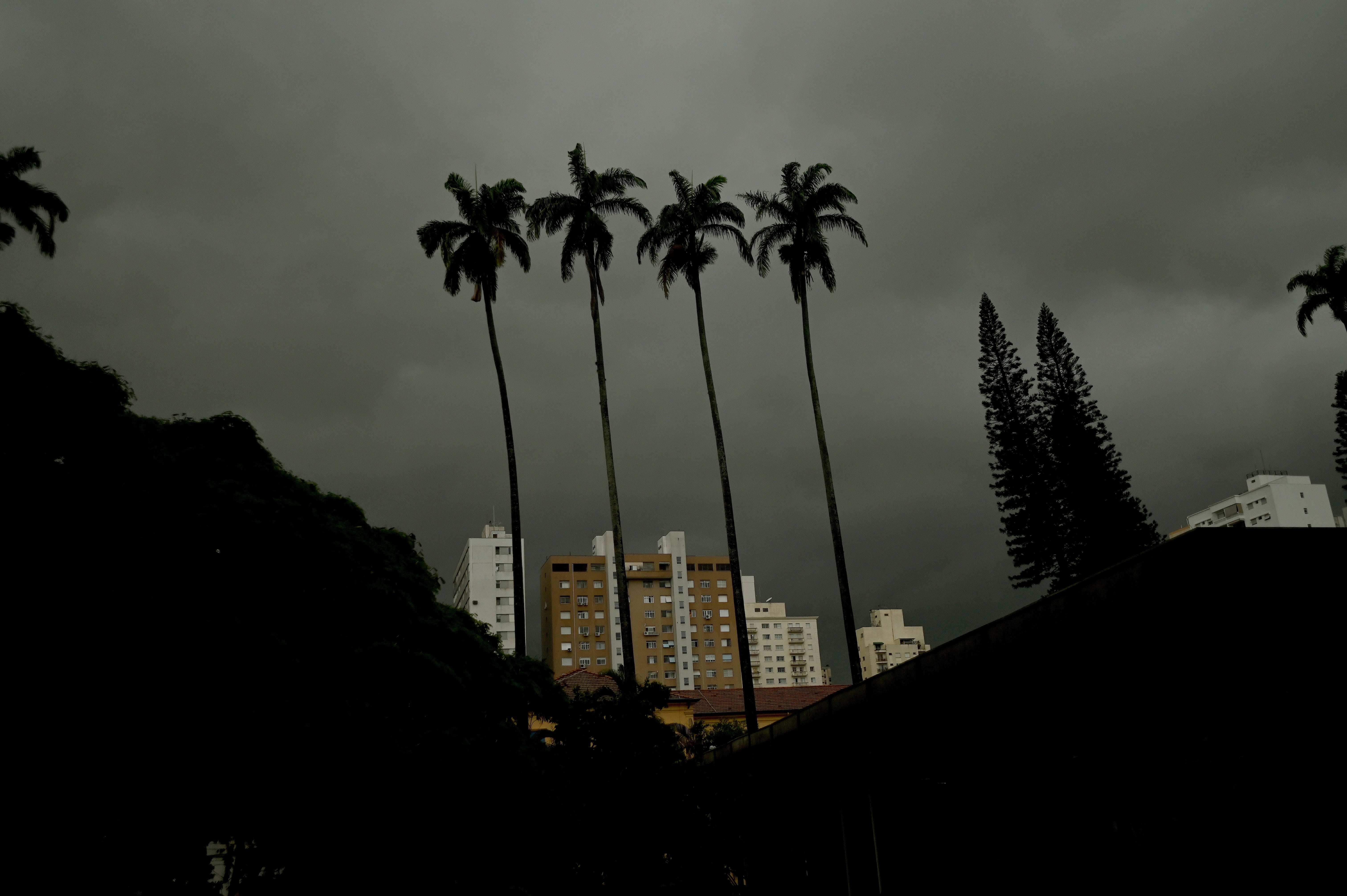 Campinas volta a fechar parques públicos por conta das chuvas 