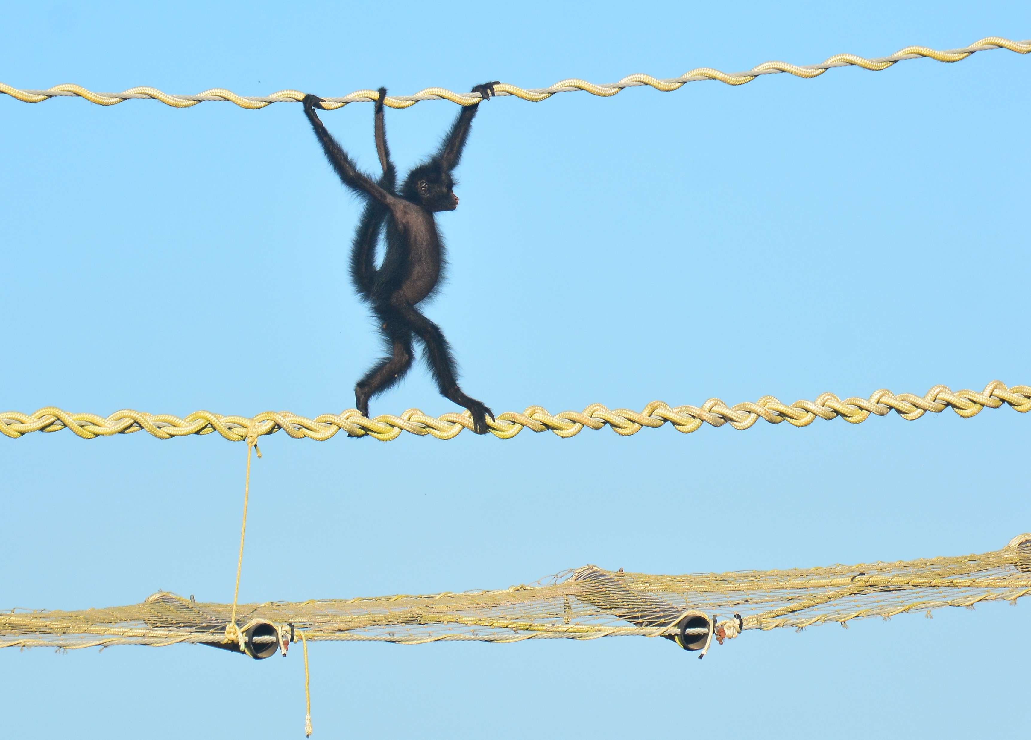 Você Não Tá Convidada pro Meu Bat Mitzvá!