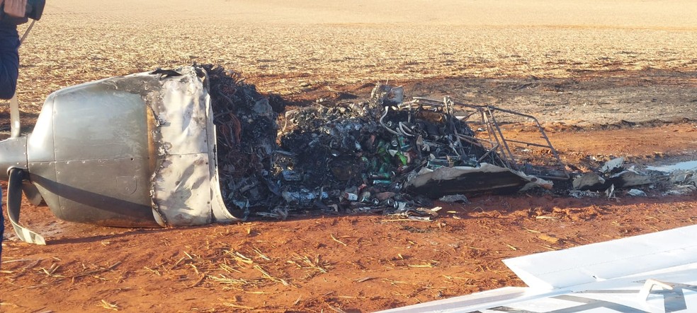 Avião de pequeno porte faz pouso forçado em Guapiaçu (SP) — Foto: TV TEM / Rodrigo Carraro