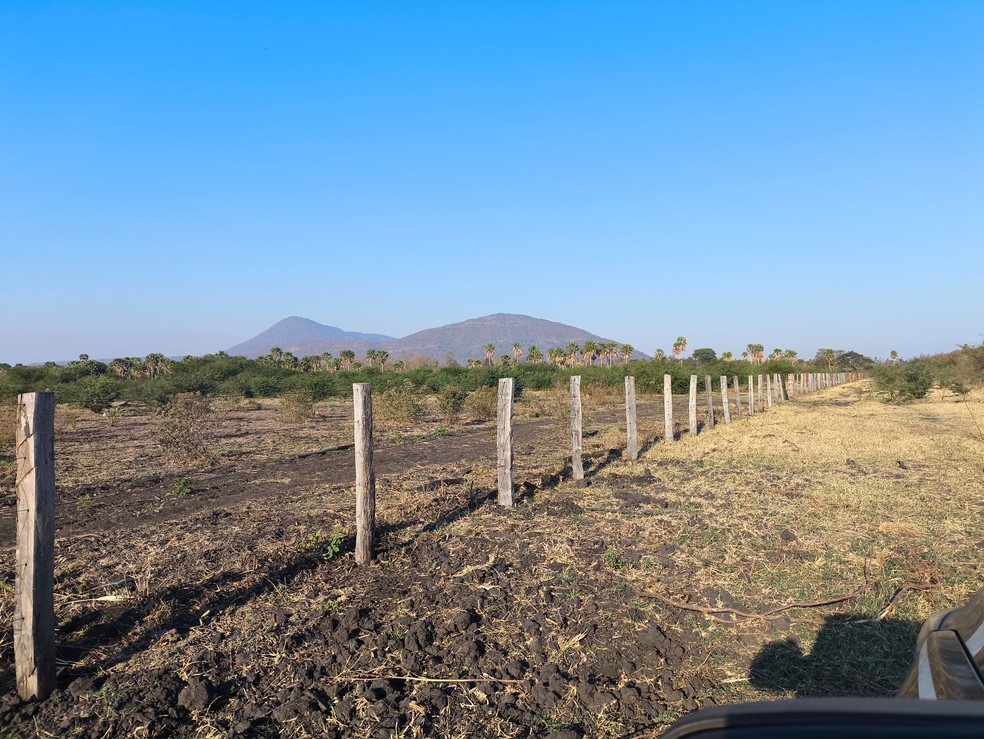 Fazenda atingida pelo fogo, no Pantanal. — Foto: Jaderson Moreira/TV Morena