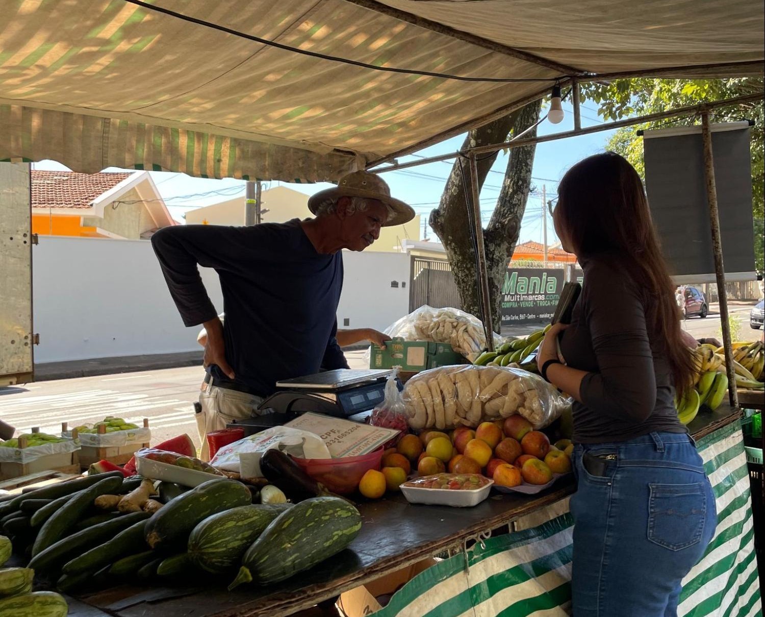Projeto de estudantes da Unesp transforma 'xepa' de feiras livres em biofertilizante sustentável