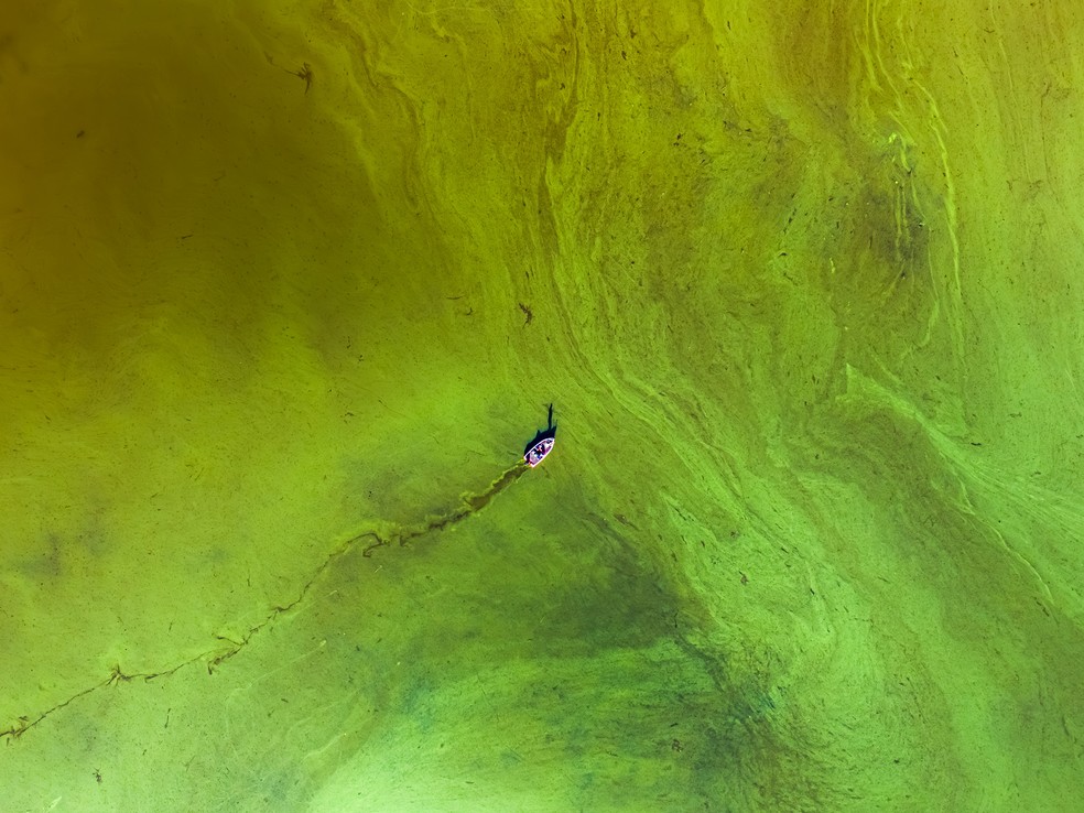 Vista aérea mostra barco de pesquisadores em meio à floração de algas tóxicas em lago no Canadá. — Foto: Haolun (Allen) Tian/Nature