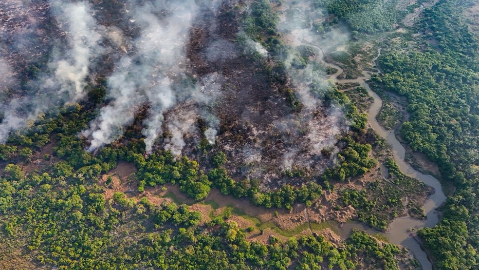 Fogo se espalha pela área de mata do Lago do Canaçari, em Itacoatiara, há uma semana e já atinge 686 hectares no interior do Amazonas — Foto: Liam Cavalcante/Rede Amazônica