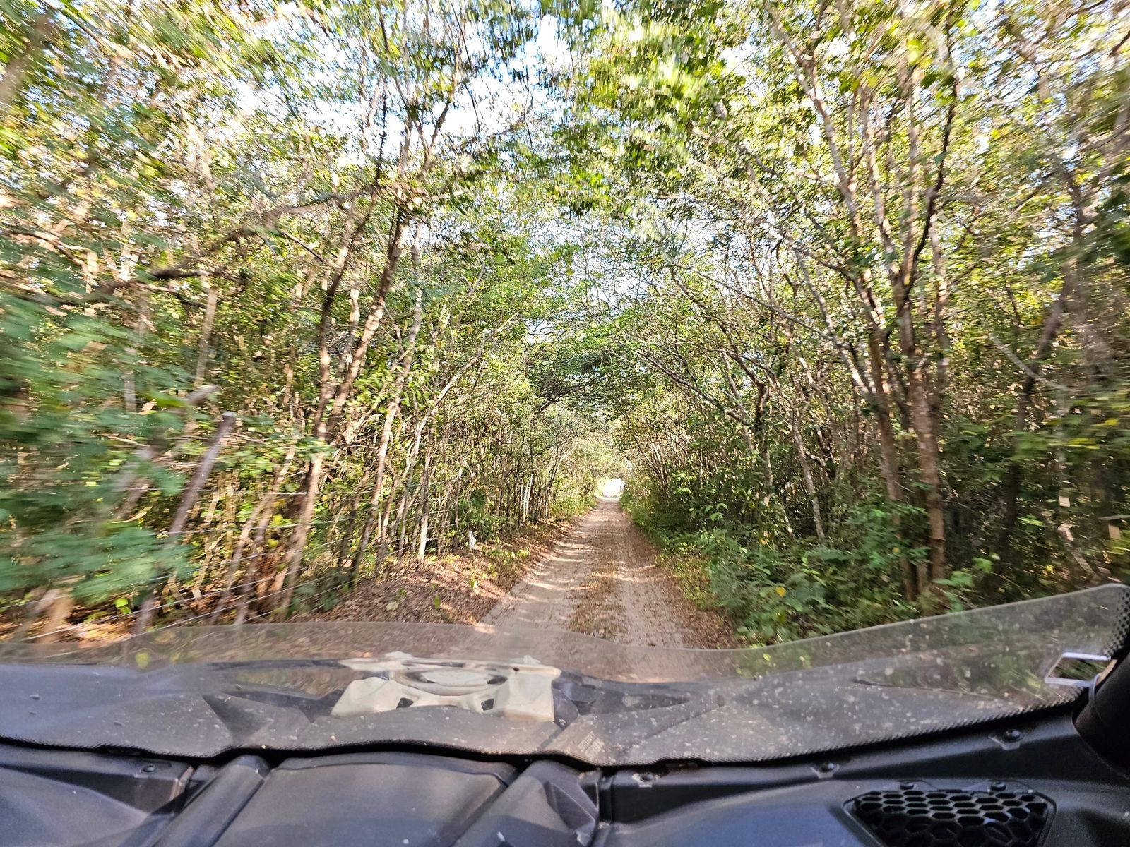 Rede Estadual de Trilhas visa fortalecer o turismo sustentável no Piauí
