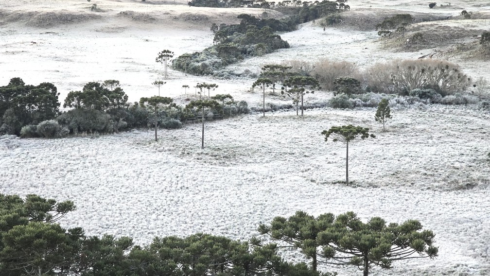 So Joaquim, nesta segunda-feira, dia de intenso frio no estado — Foto: So Joaquim Online/Divulgao