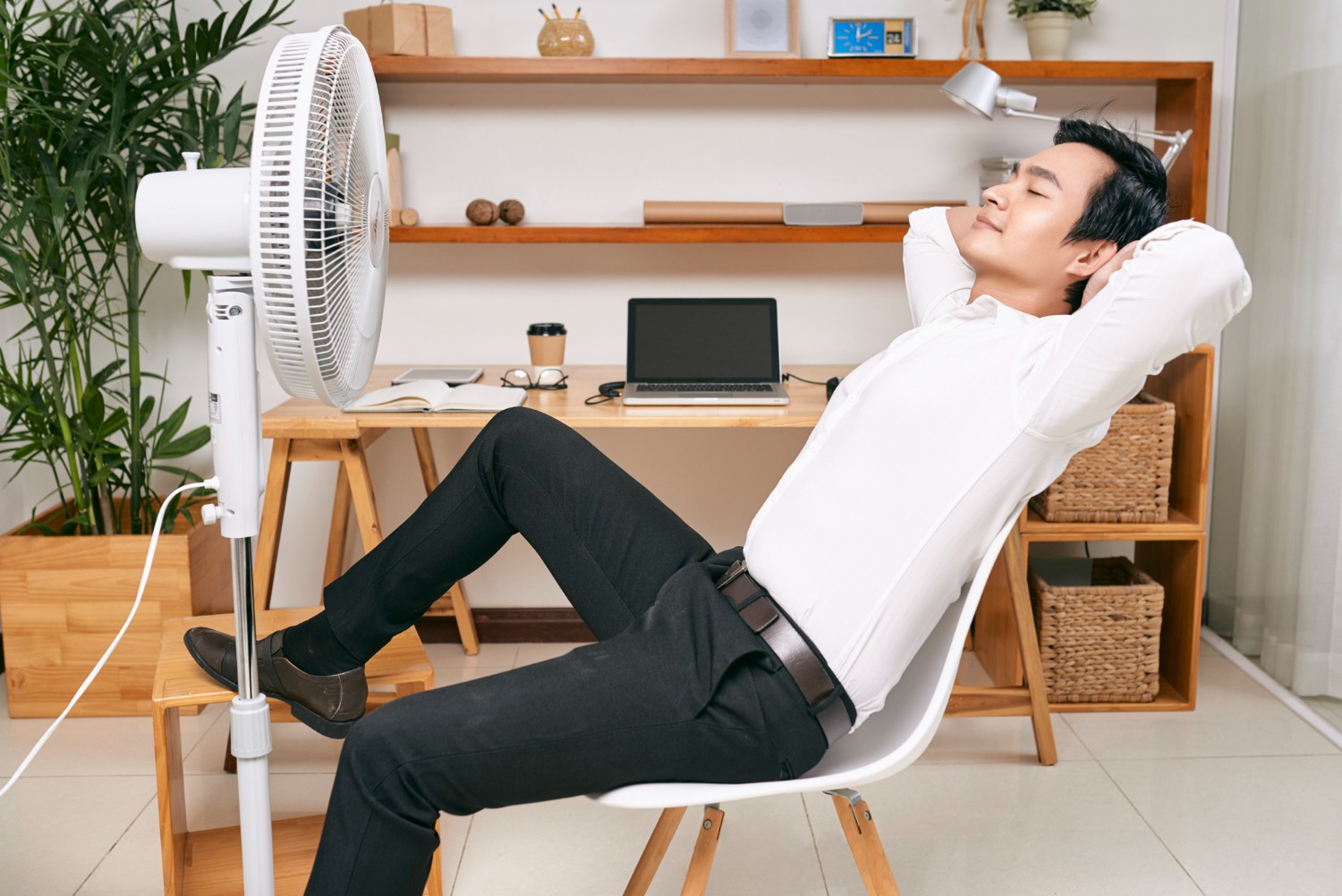 Posso usar produto de limpeza no ventilador? Saiba como fazer do jeito certo