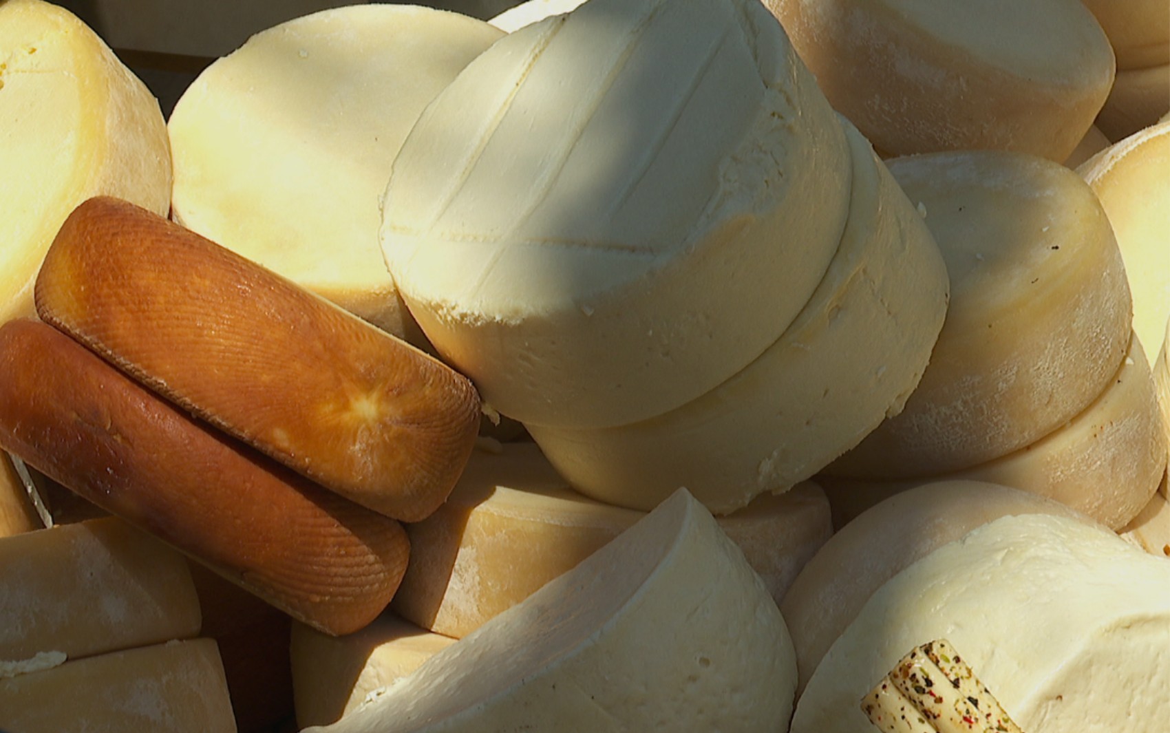 Vigilância Sanitária apreende 270 kg de queijo artesanal no Mercadão de Ribeirão Preto, SP