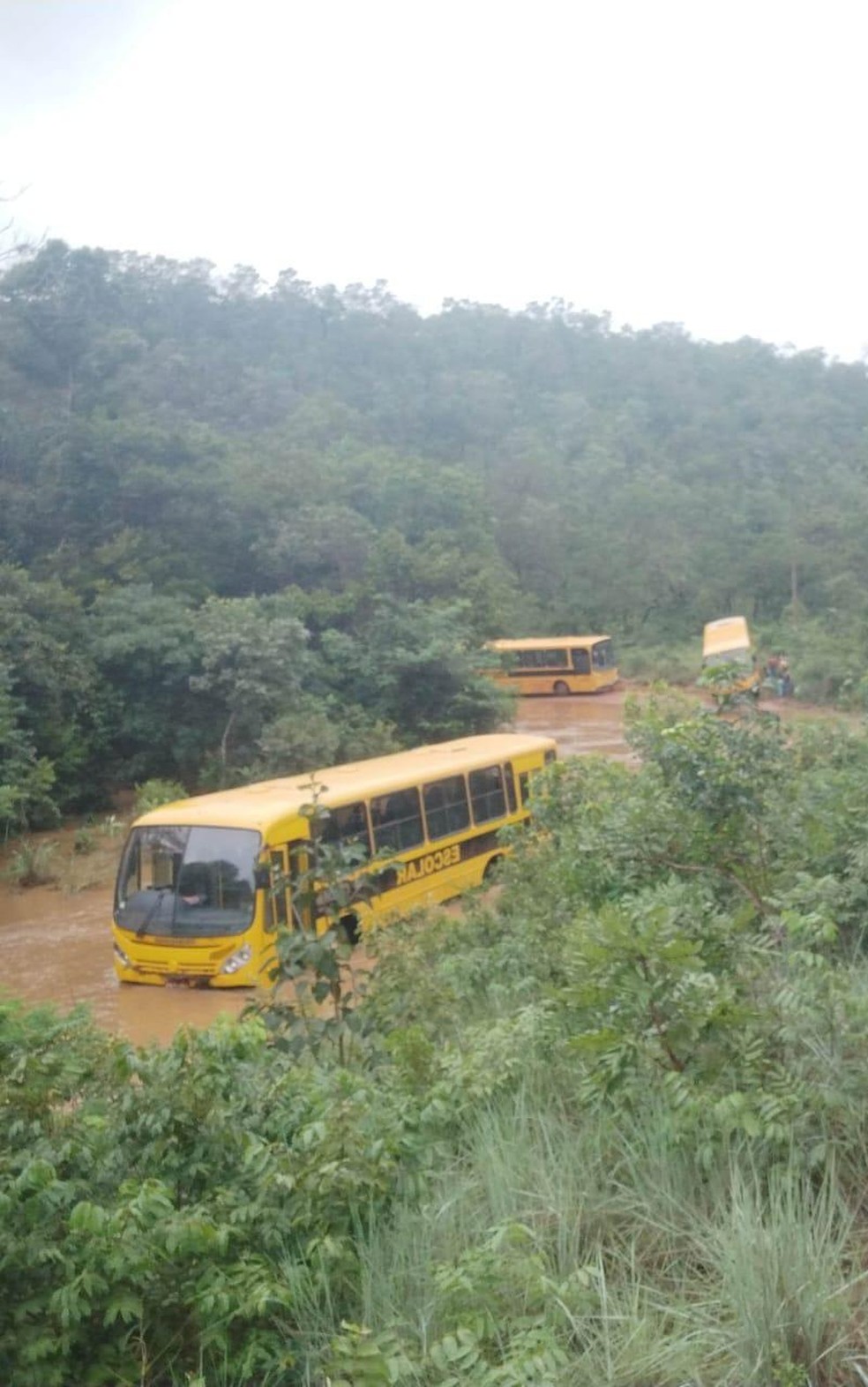 Situação da estrada — Foto: Divulgação