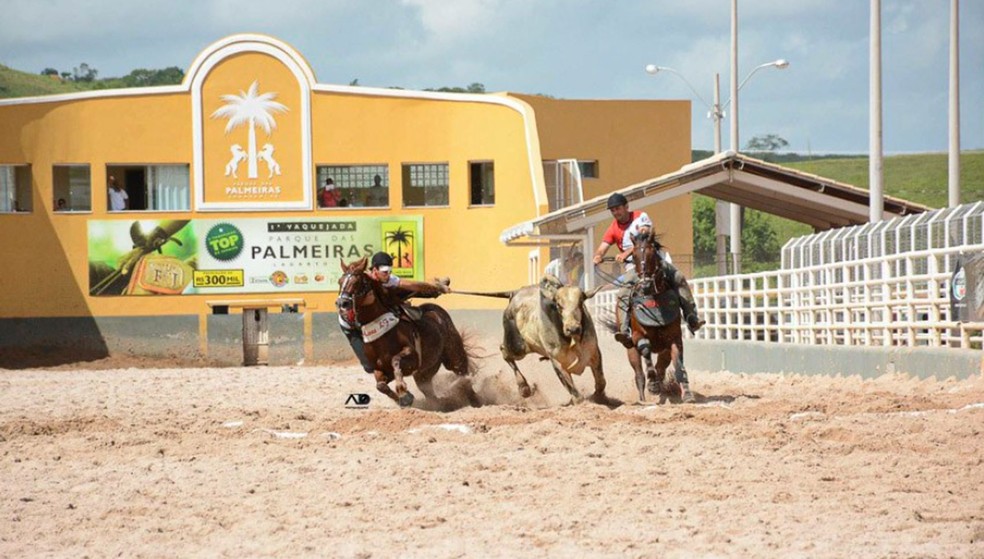  A influência das bets fez a vaquejada ganhar um novo formato nos últimos dois anos, o X1 Vaquejada.  — Foto: Haras LF