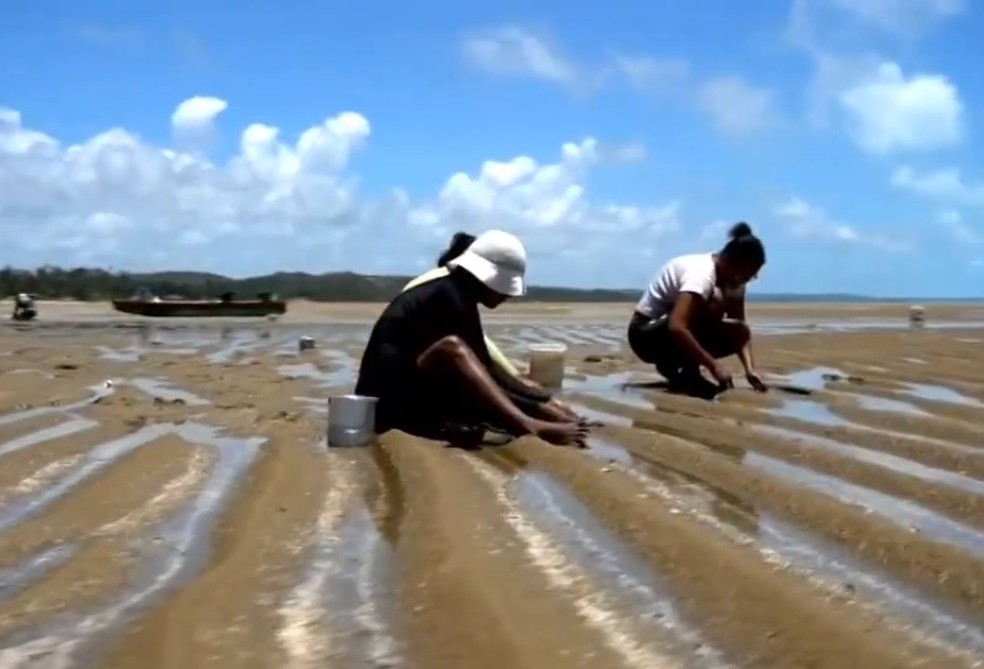 Catadora de massunim valorizam a importância de cuidar dos recursos naturais — Foto: Reprodução/TV Gazeta