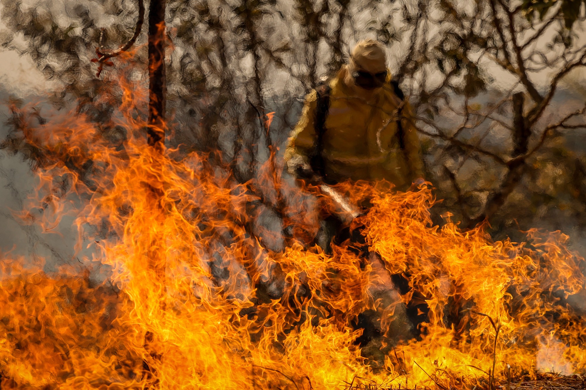 Cerrado: fogo em savanas sobe 221% em agosto; veja ranking de municípios que mais queimaram