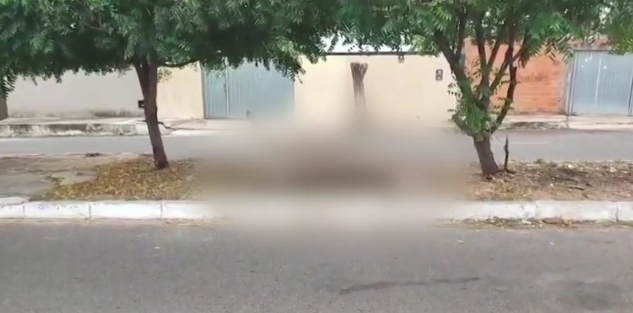Corpo de jumento em canteiro de avenida causa transtornos na Zona Norte de Teresina