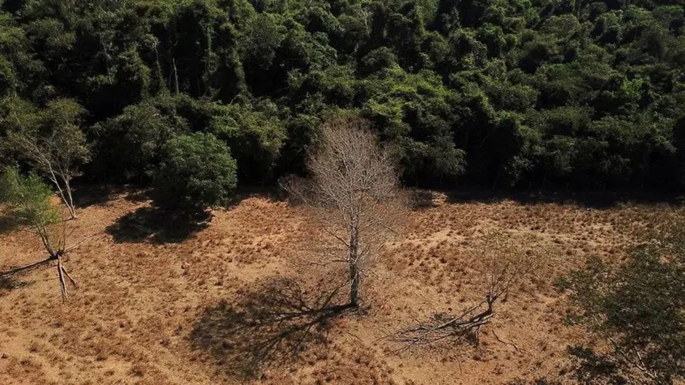 Perodo de estiagem na Amaznia se estendeu, ao mesmo tempo em que a estao seca se adiantou — Foto: AMANDA PEROBELLI-REUTERS