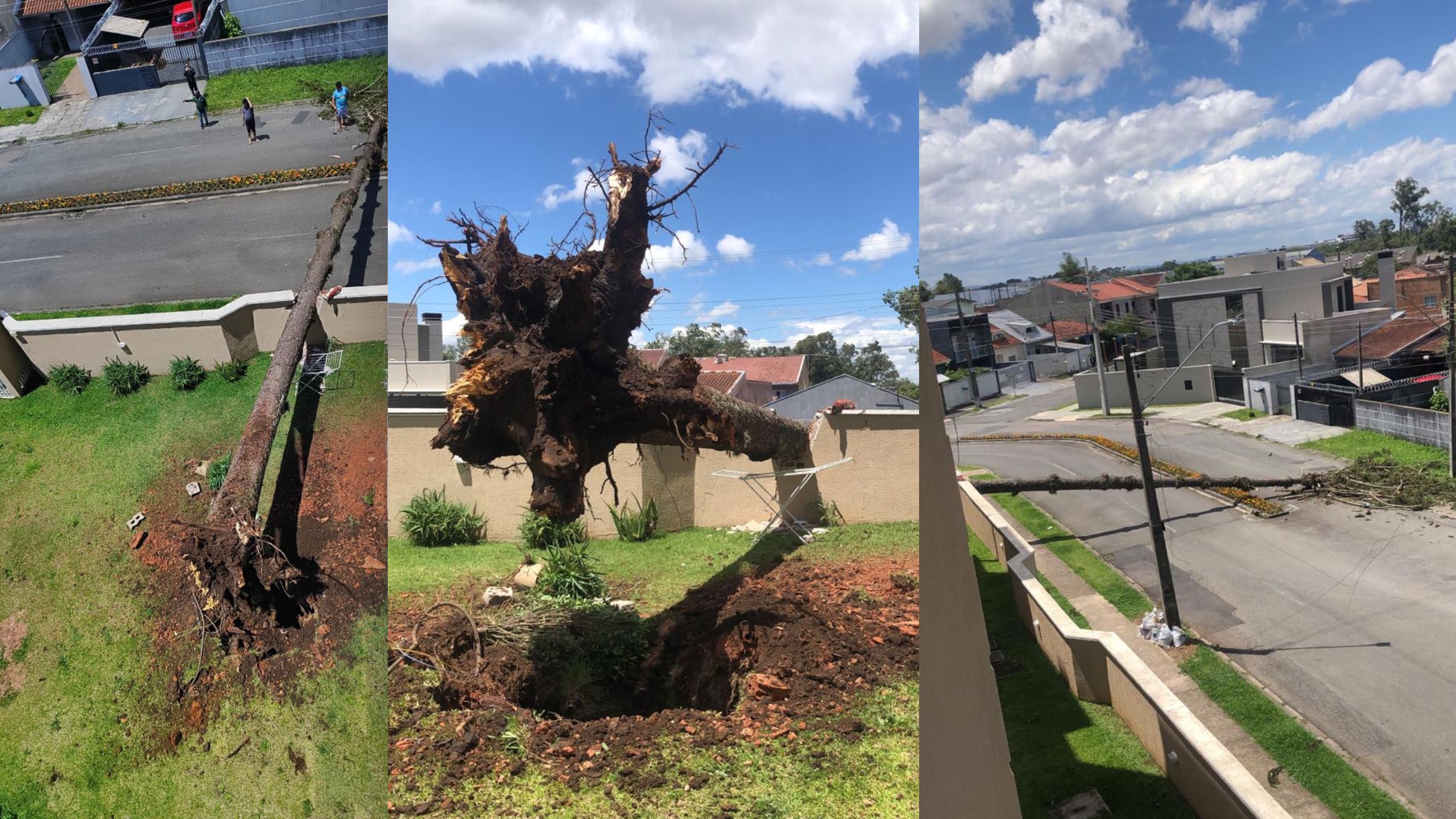 Ventos de mais de 70 km/h atingem região de Curitiba, destelham escola e derrubam árvores