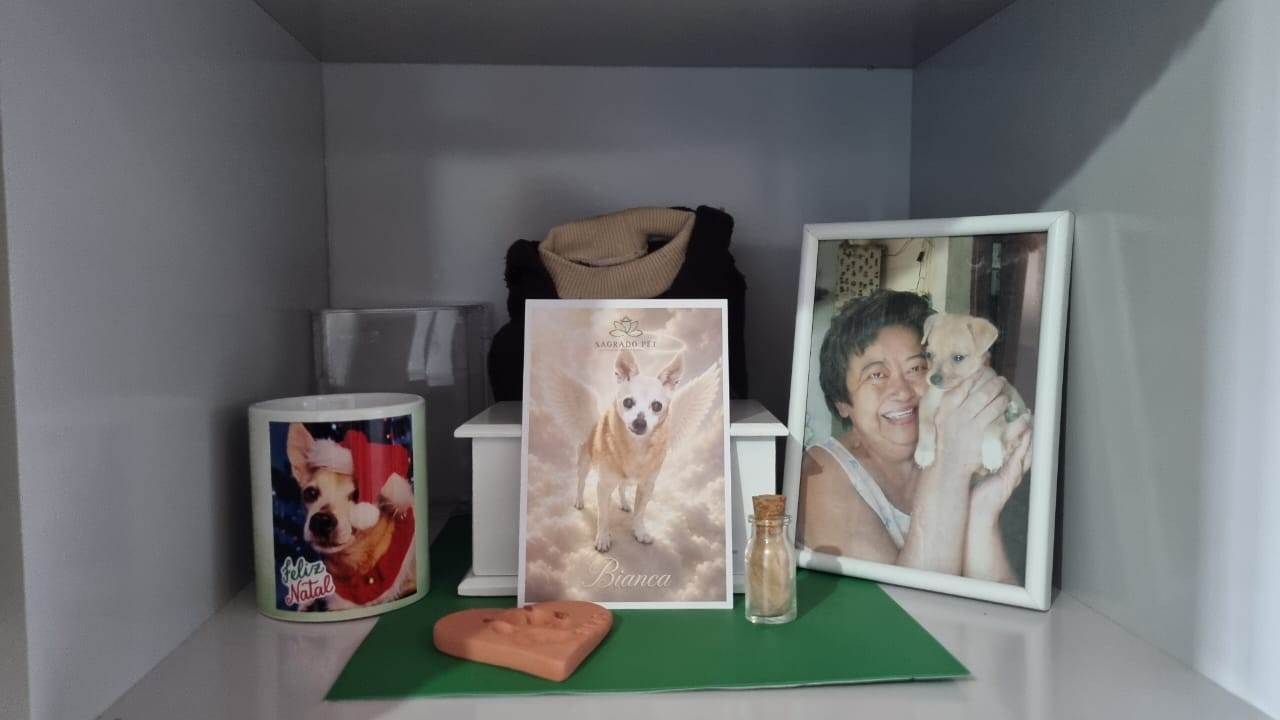 Perda de um pet pode causar tristeza profunda e até depressão; psicóloga orienta como enfrentar o luto