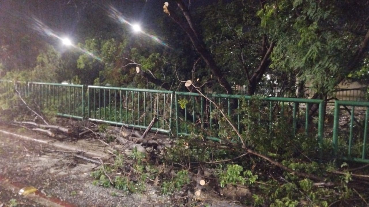 Corpo de Bombeiros registra queda de árvores em vários bairros de Montes Claros após forte chuva