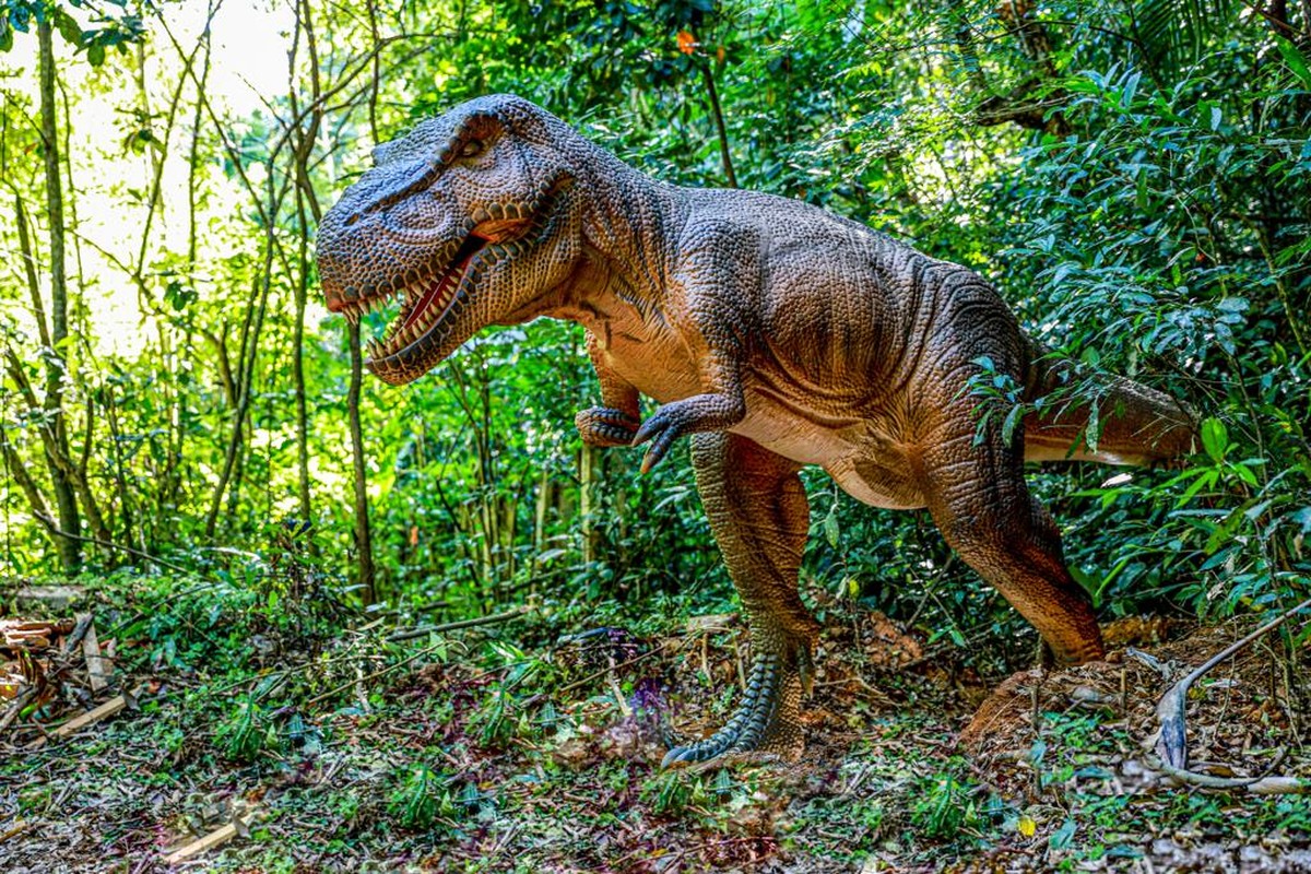 Parque do T-REX  Corra sem parar - os dinossauros estão vindo! 