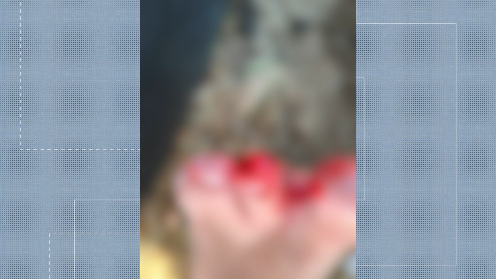 Banhista diz ter sido atacada por piranhas em lagoa; prefeitura investiga caso em Linhares