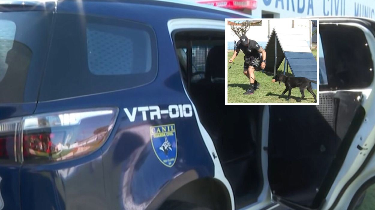 VÍDEO: como é a viatura para cães da GCM que tem climatizador e custou quase R$ 450 mil