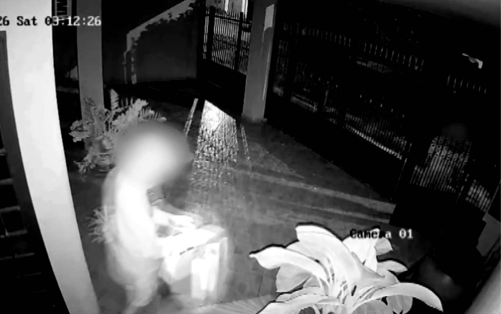 Dupla invade casa de idosa em Ribeirão Preto e furta presentes que ela ganhou das filhas no Dia das Mães