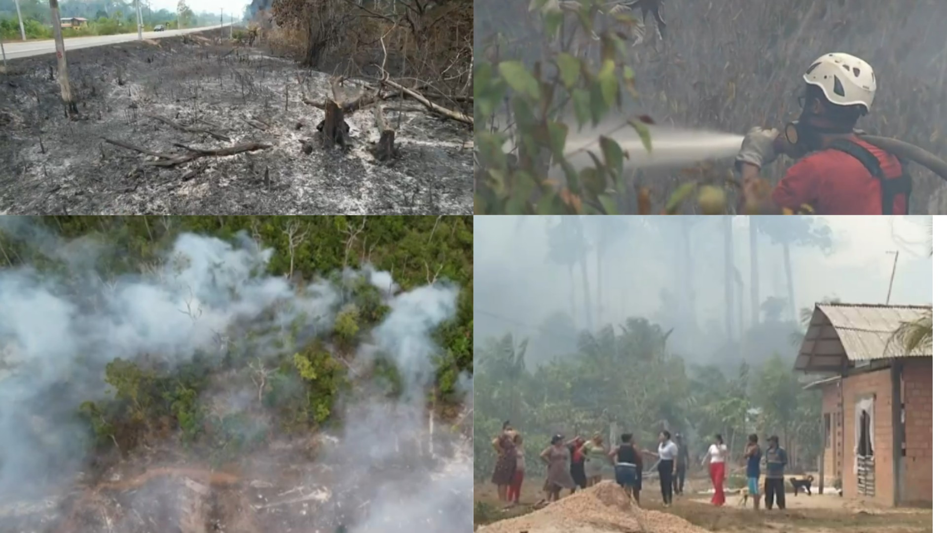 Gabinete de crise é instalado após famílias, animais e plantações serem afetados por incêndio florestal em Belém