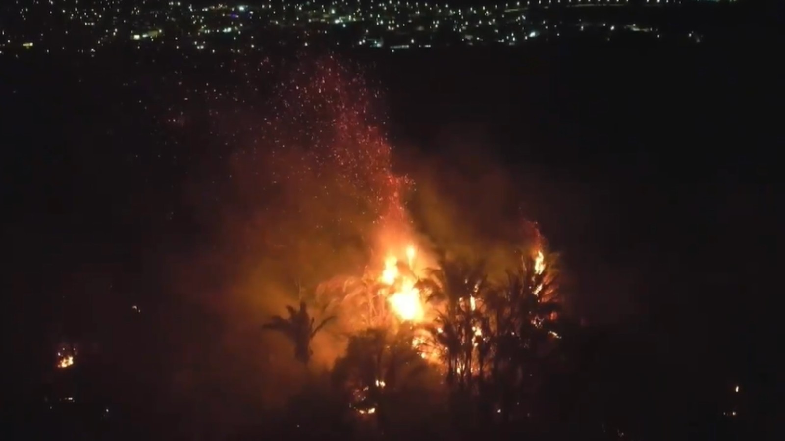 VÍDEO: Incêndio em área da Embrapa mobiliza Exército e bombeiros em Teresina
