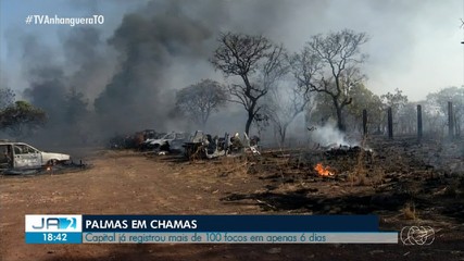 Palmas registra mais de 100 focos de incêndio em apenas seis dias