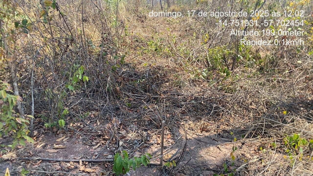 Grupo é preso após invadir reserva ambiental para desmatar e vender terrenos em MT