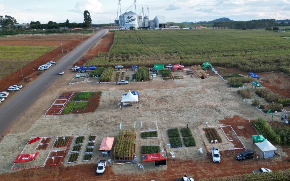 Cooperativa apresenta novidades para produtores em vitrine tecnológica durante três dias em Boa Esperança — Foto: Divulgação / Capebe