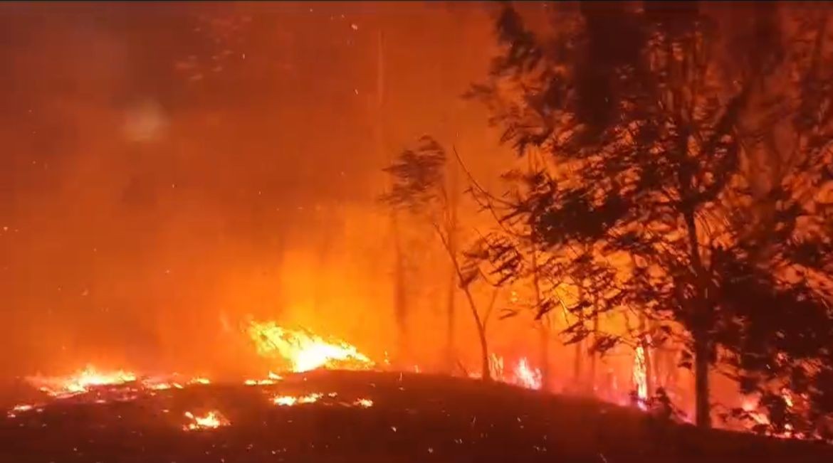 Vídeo mostra desespero de moradores e brigadistas indígenas ao tentarem conter incêndio em comunidade ao Norte de RR