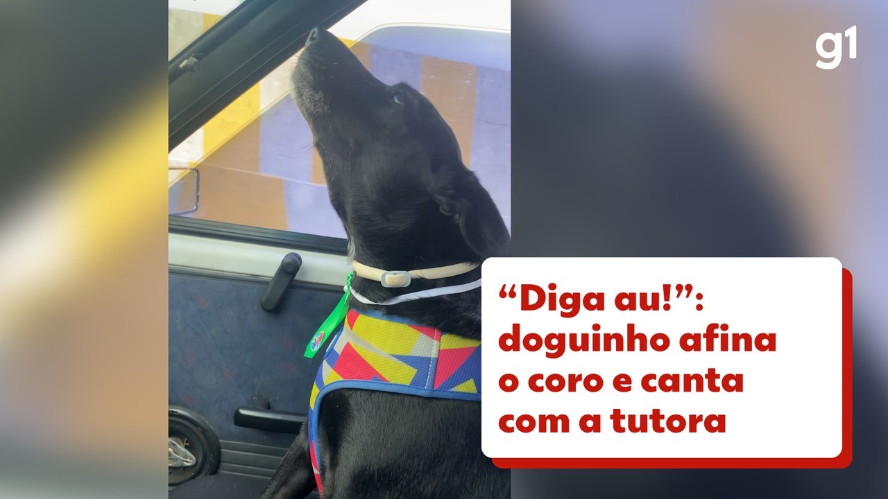 Vídeo de cachorro cantando música infantil com tutora viraliza; assista
