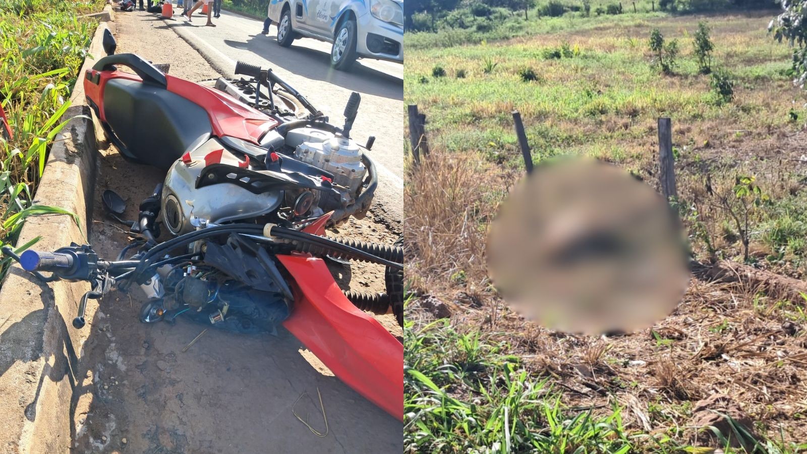 Dono de cavalo é indiciado por morte de jovem que bateu moto em animal no PI