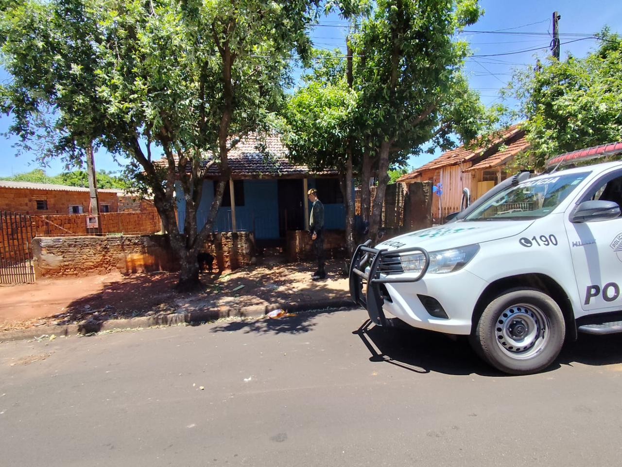 Após abandonar cachorro em calçada, rapaz é multado em R$ 3 mil e responderá criminalmente em Teodoro Sampaio