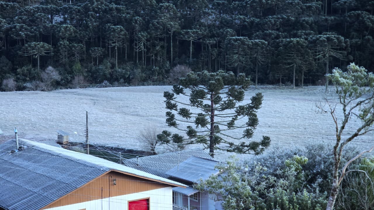 Bom Jardim da Serra marca mínima de -9ºC e SC registra menor temperatura de 2026