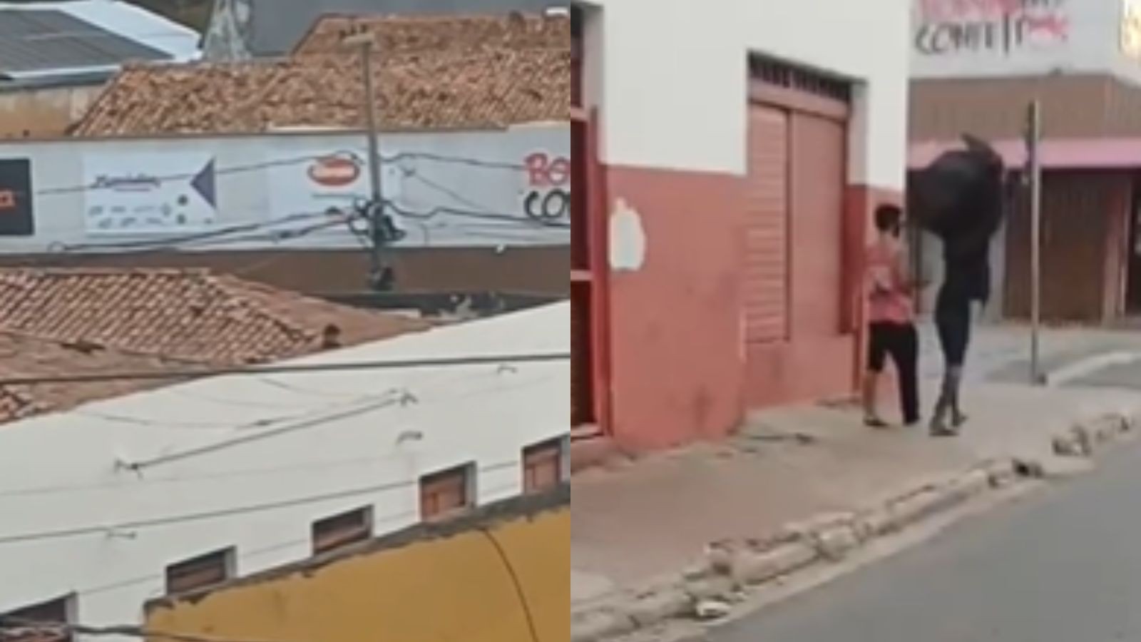 Dupla é presa após ser flagrada invadindo e furtando comércio pelo telhado em Teresina
