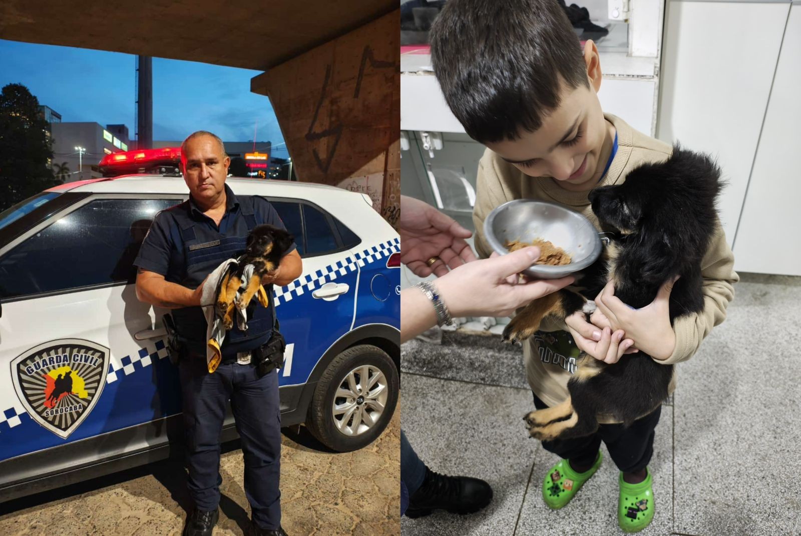 GCM resgata filhote de cão abandonado em Sorocaba e vê filho autista criar laço e se acalmar com o animal: 'Lindo de ver', diz mãe