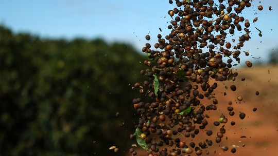 China libera 183 empresas do Brasil para exportar café após tarifaço dos EUA - Medida anunciada pela embaixada chinesa no Brasil vale por cinco anos e ocorre após os EUA anunciarem tarifa de 50% sobre os produtos brasileiros.