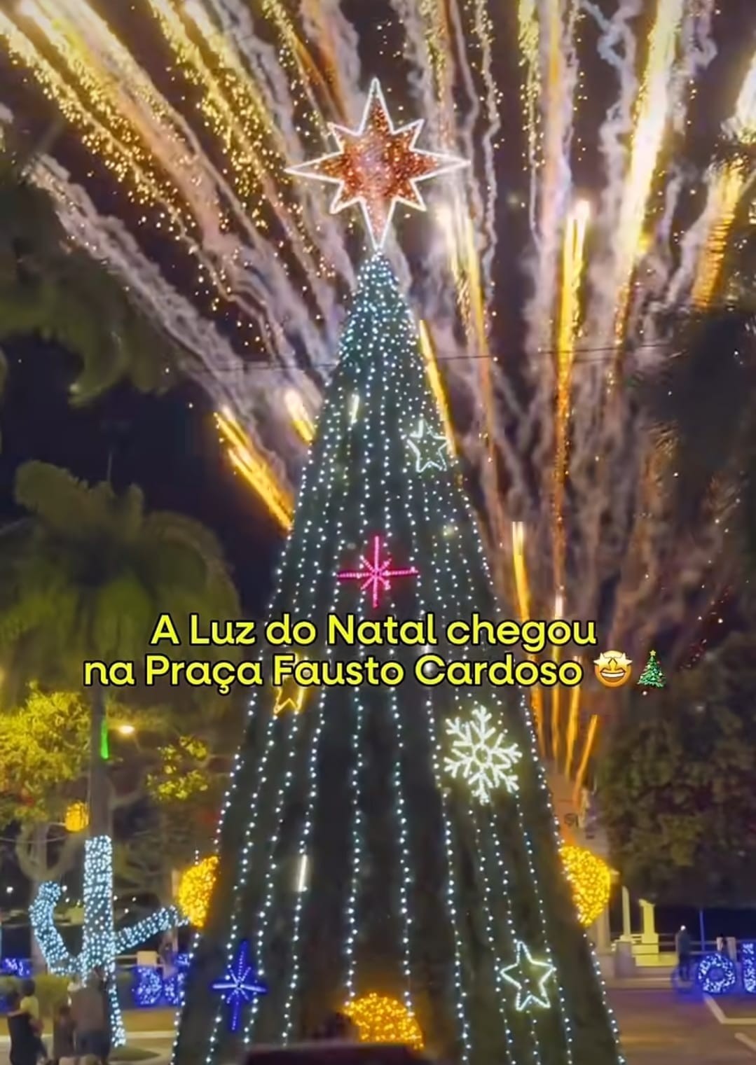 Árvore de Natal em Aracaju — Foto: Reprodução