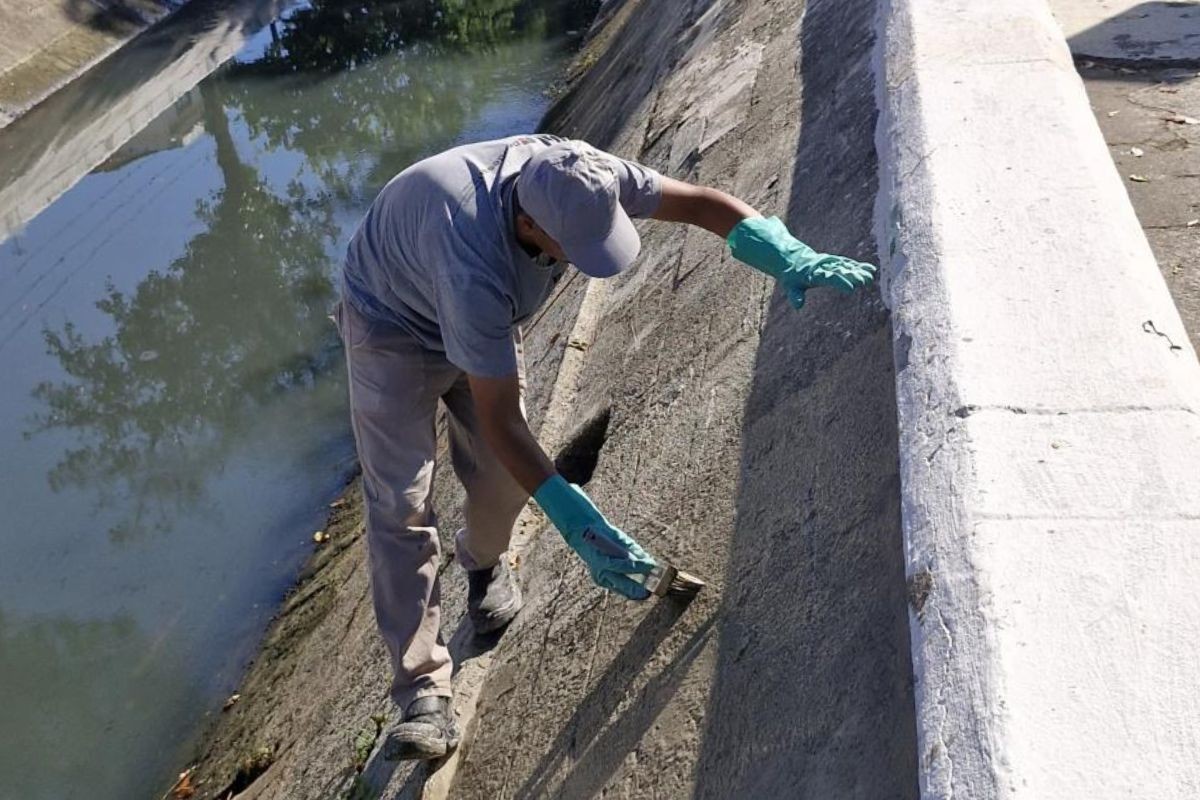 Santos, SP, inicia projeto para modernizar e recuperar os canais da cidade; confira