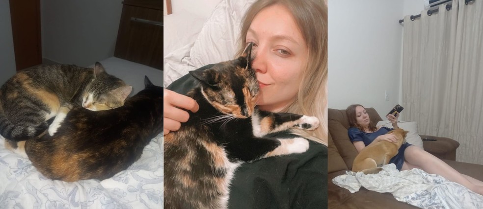 Casal era apaixonado por animais de estimação e tinha quatro em casa — Foto: Arquivo Pessoal
