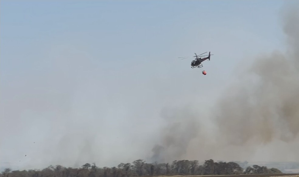 Incêndio na Mata do Canha, em Alto Alegre (SP), já está no quinto dia — Foto: Reprodução/TV TEM