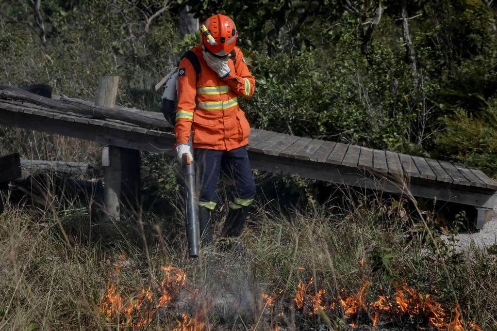 Mato Grosso registra 39 incêndios florestais nas últimas 24 horas