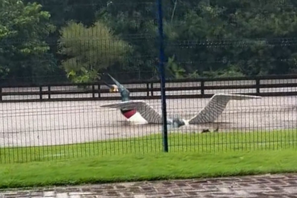 Escultura do Tuiuiú, ave símbolo do Pantanal, construída no Parque Ecológico da cidade quase ficou submersa — Foto: Suellen Lima