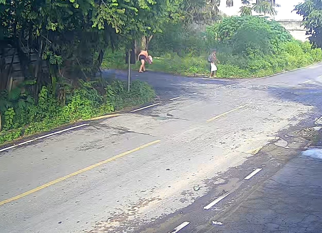 VÍDEO: bebê é deixada em mata e colocada sobre bueiro na Grande BH; criança foi resgatada e amamentada por policial militar