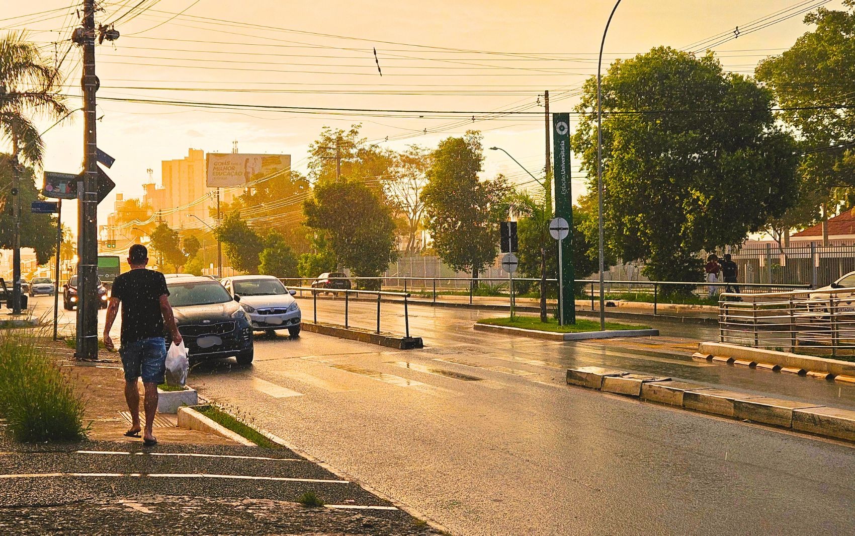 Tempestades com rajadas de vento deixam mais de 140 cidades de Goiás em alerta, aponta Cimehgo 
