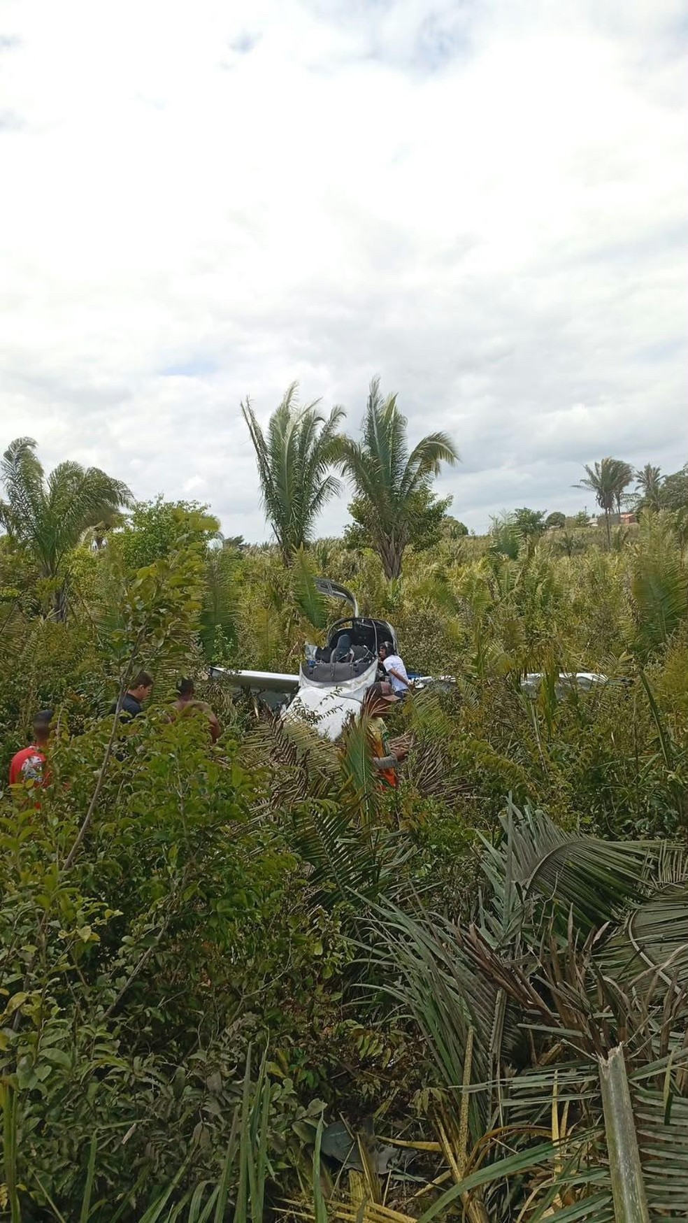 Avi&atilde;o com quatro pessoas a bordo cai em Carutapera, no MA &mdash; Foto: Divulga&ccedil;&atilde;o/Pol&iacute;cia Militar
