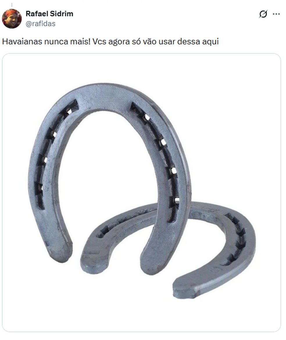 Direita convoca boicote às Havaianas após campanha com Fernanda Torres e caso vira meme — Foto: Reprodução/X